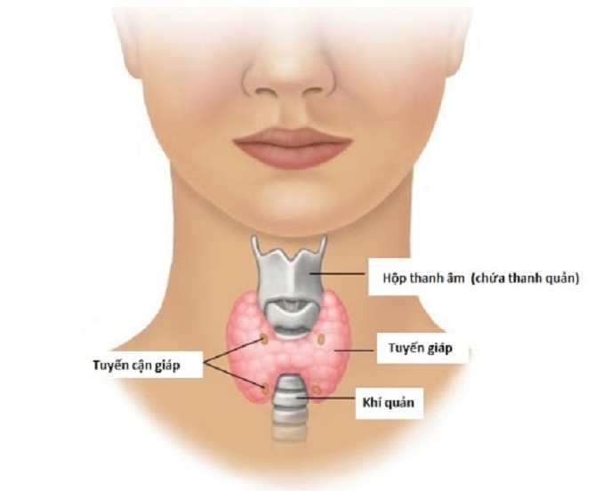 Có những yếu tố nào ảnh hưởng đến quyết định của một phụ nữ tham gia chương trình sàng lọc 3 tháng đầu?