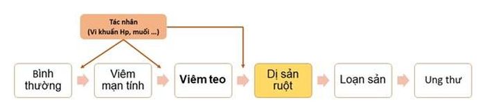 SINH THIẾT XÁC ĐỊNH TẾ BÀO UNG THƯ CÓ NGUY HIỂM KHÔNG